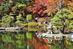 庭園の秋