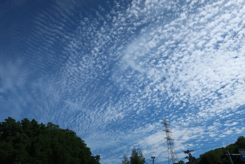 AE1D6F44-50F6-4ABE-AB1E-8216856CA133