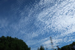 AE1D6F44-50F6-4ABE-AB1E-8216856CA133
