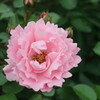 2510F8BB-8413-4D96-914E-D96505793167