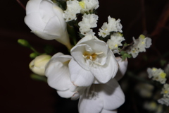 6062A547-19FB-4B78-ACB3-06251934C220