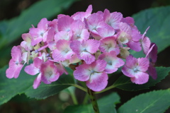 17CDB7D6-E248-405F-B897-8206979B9177