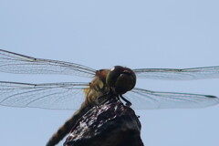 FE7EBB45-4CD6-4357-84EC-16F9D5438A62