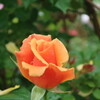 CA1B5227-85EA-48EB-9857-67683FDE7A4E