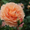 5F47769C-3843-431E-917D-F0FB93CF8302