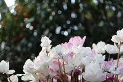 E624B24B-4B57-41CD-9C43-C74CB0824C05