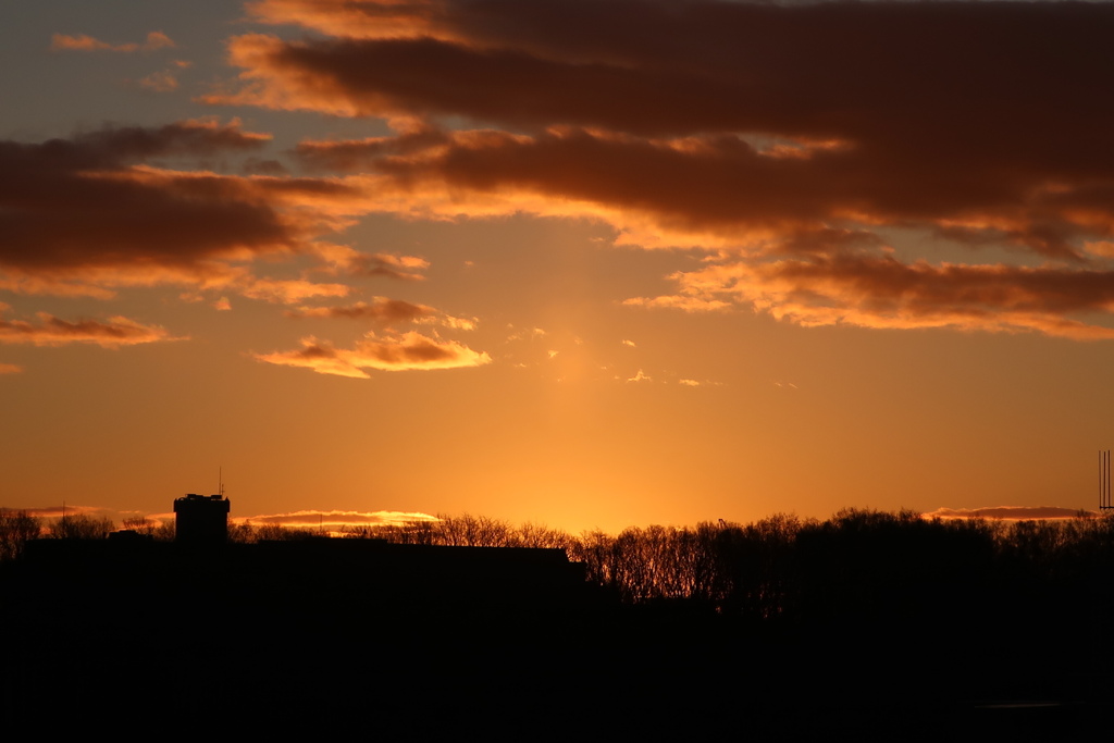 8CE087A4-E31B-4A83-9EE2-1FBA6D1E91E2