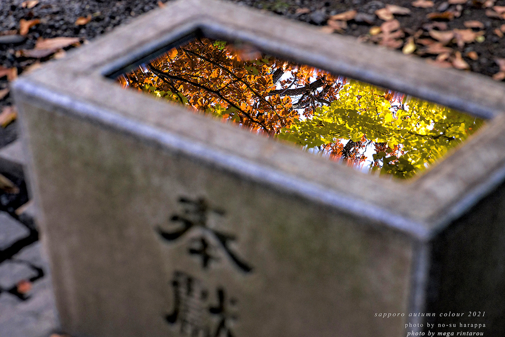 北海道　秋に撮った写真㉑　北海道神宮の秋