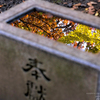 北海道　秋に撮った写真㉑　北海道神宮の秋