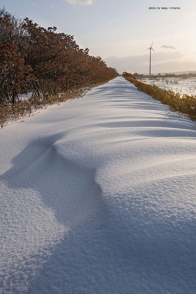 白に埋もれた道2026・石狩川河口付近