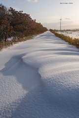 白に埋もれた道2026・石狩川河口付近