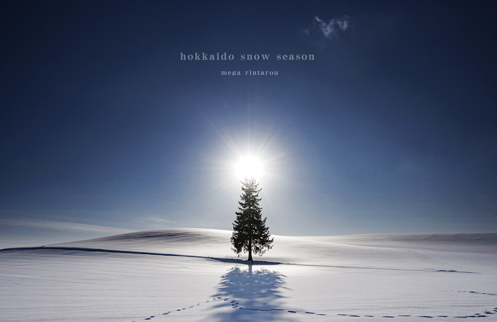 北海道　冬に撮った写真68　美瑛　冬のクリスマスツリーの木