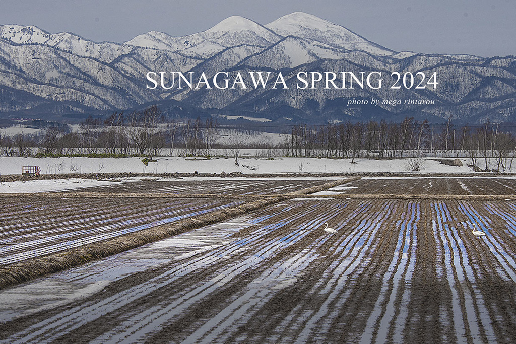 北海道　春に撮った写真⑩　砂川市　白鳥　ピンネ山　雪解けの田畑2024