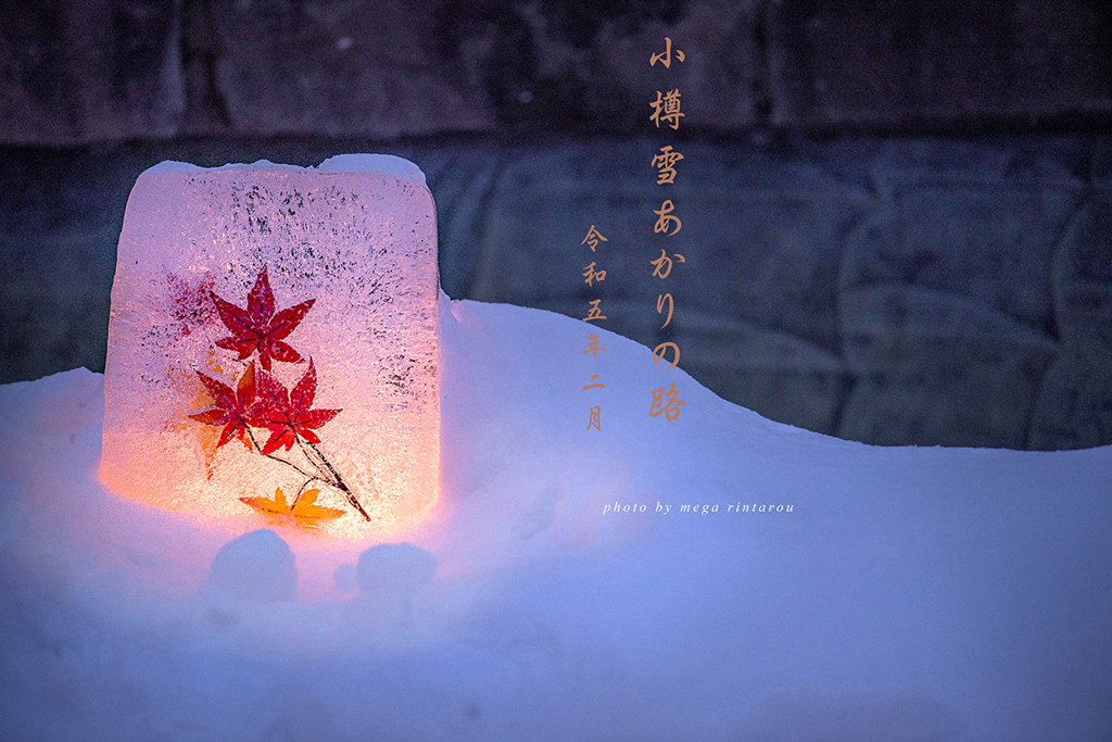北海道　冬に撮った写真47　小樽雪あかりの路⑨