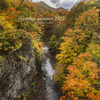 北海道　秋に撮った写真51　２０２３年　札幌　定山渓の秋②