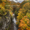 北海道　秋に撮った写真51　２０２３年　札幌　定山渓の秋②