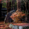 北海道　秋に撮った写真⑲　北海道神宮の秋
