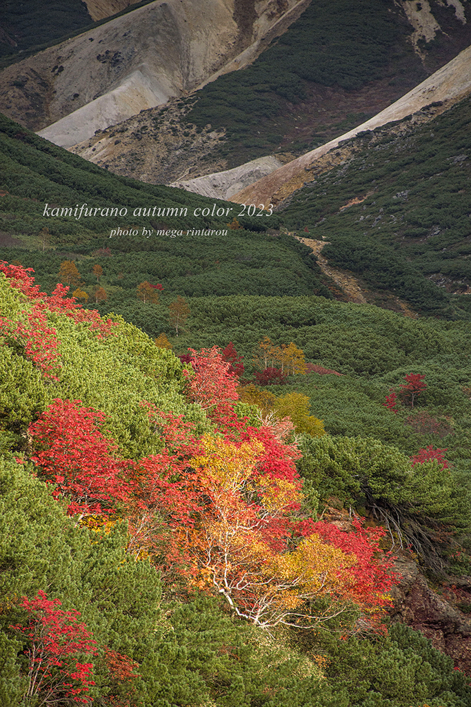 北海道　秋に撮った写真㊸　上富良野　十勝岳温泉　紅葉②