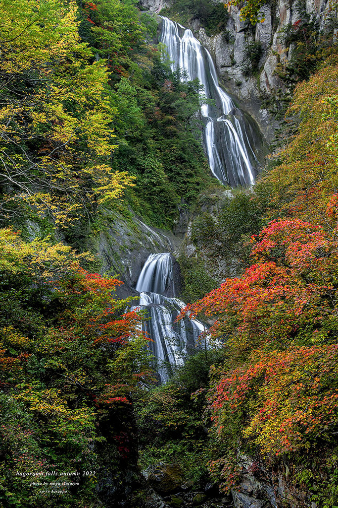 北海道　秋に撮った写真　羽衣の滝　東川町