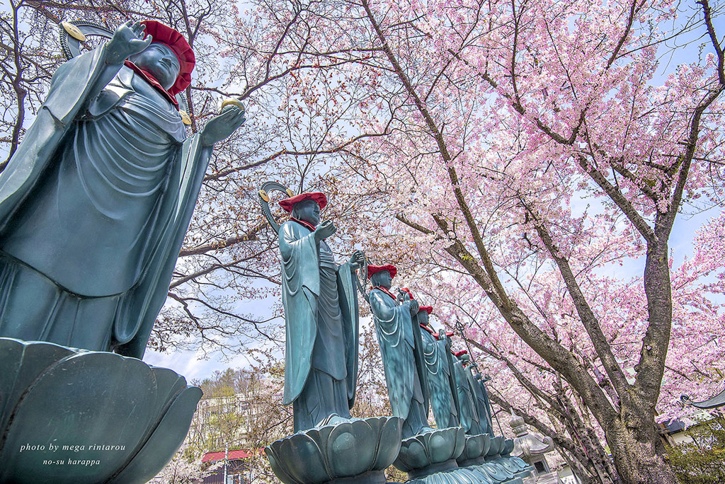 北海道　春に撮った写真⑬　小樽　天上寺　桜と６地蔵尊