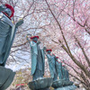 北海道　春に撮った写真⑬　小樽　天上寺　桜と６地蔵尊