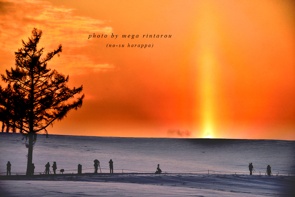 北海道　冬に撮った写真81　美瑛・丘の太陽柱2016
