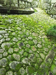 知恩院