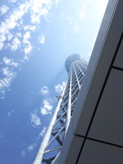 DSC_1342
