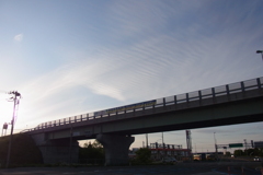 RIMG0008