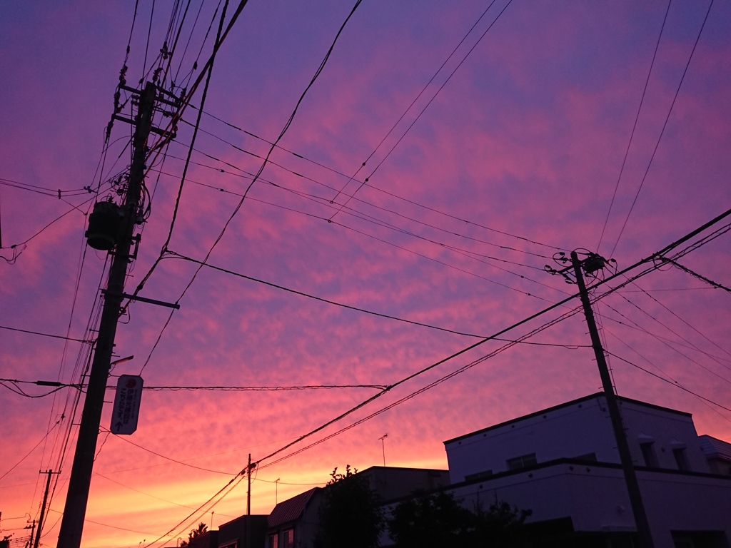 帰り道200807