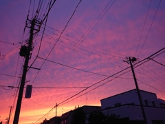 帰り道200807