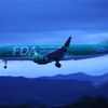 大好きなFDA