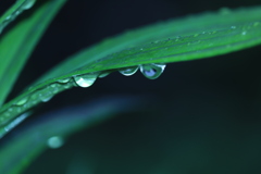 雫