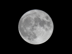 Harvest Moon　満月　収穫月