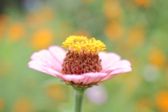 20201004-1