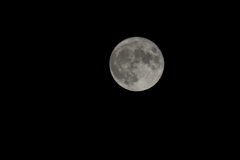 Harvest Moon 収穫月