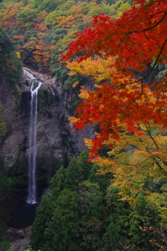 福喜野の滝　その2