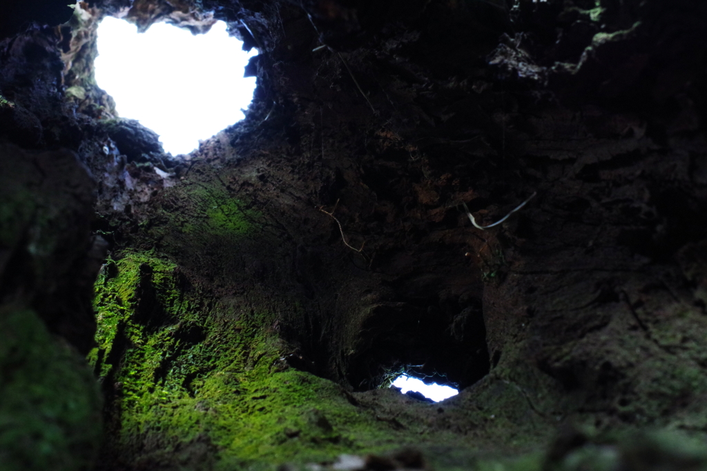 小人の洞窟