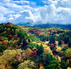 今年の十勝岳