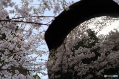 画像編集なしです