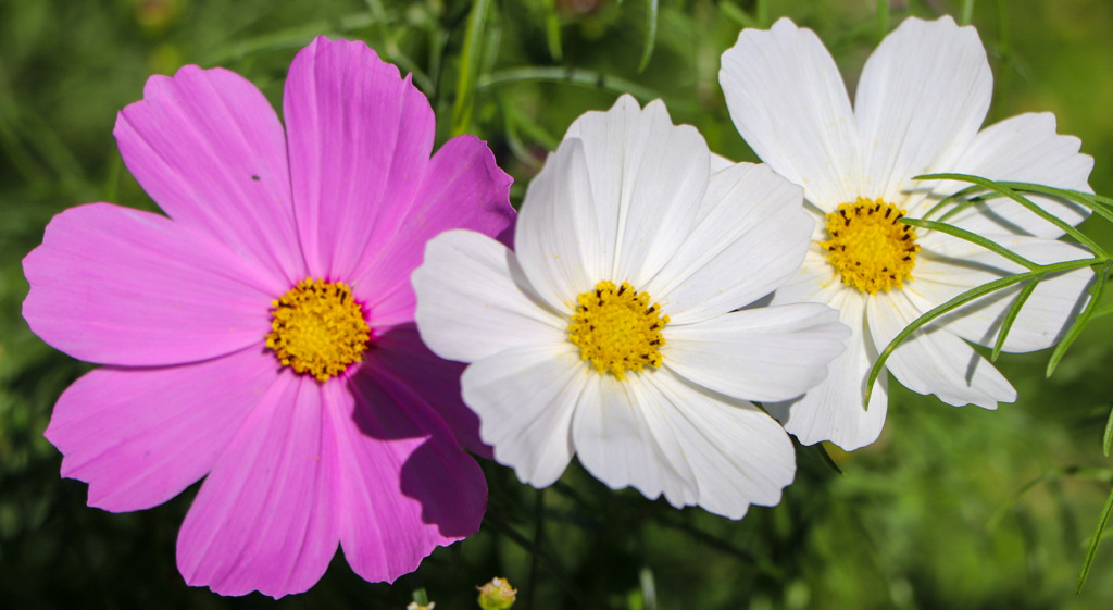 DBACF79E-8AD4-4C96-8A5D-7989A3996ED0