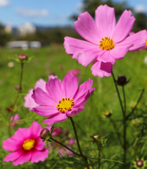 7F869D1E-F3A3-4268-A98E-399270303B2A