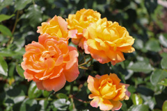 D472BD90-7AF8-4303-A7BD-02EDA0307391