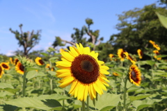 1CF2915A-E24C-473C-A3EB-F0905AE5404E