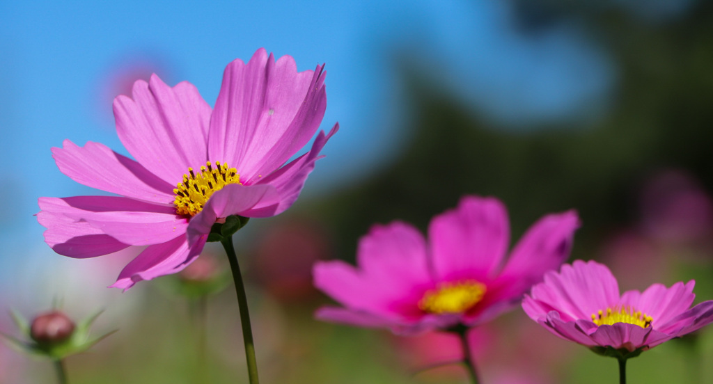 B9F13B76-DEC7-4478-A3CC-3AF9504A9E8B