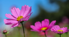 B9F13B76-DEC7-4478-A3CC-3AF9504A9E8B