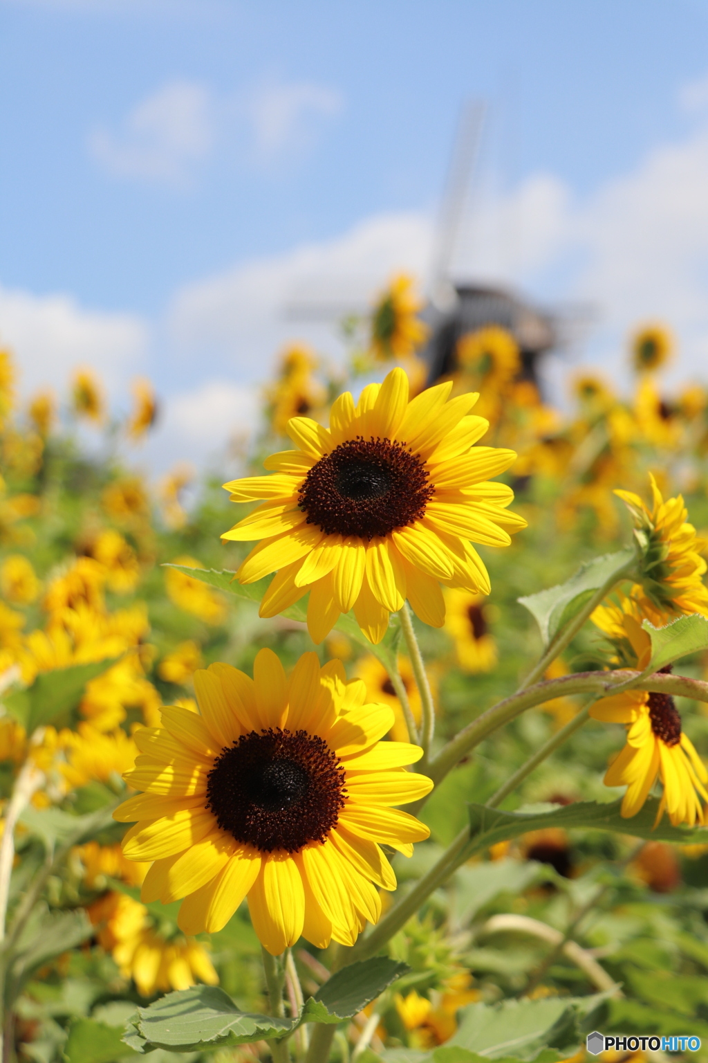 BD2B86D8-5C20-42D6-9327-DCCDF326F506