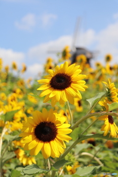 BD2B86D8-5C20-42D6-9327-DCCDF326F506