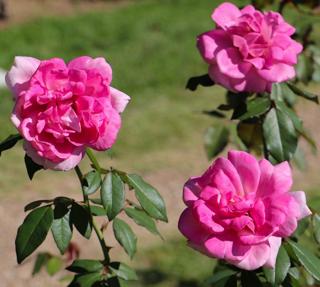 CBD77B7A-3B08-45FC-AFCC-96AD380868AE