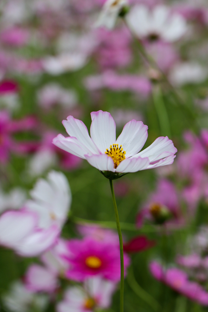 DA7D22FA-BE94-4905-B592-70712797CE2B